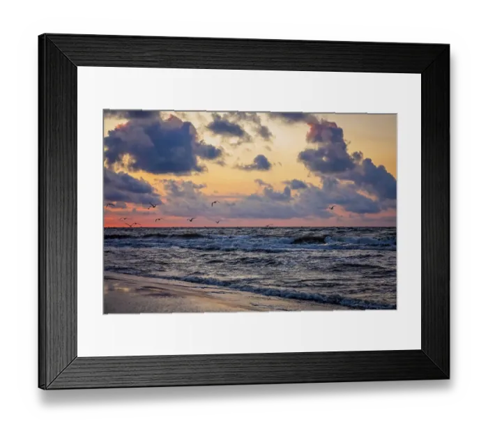 Framed Print : Seagulls flying over the sea beach in summer at sunset