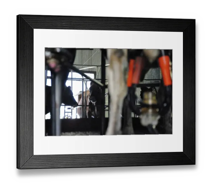 Framed Print : ibxwbk11357019