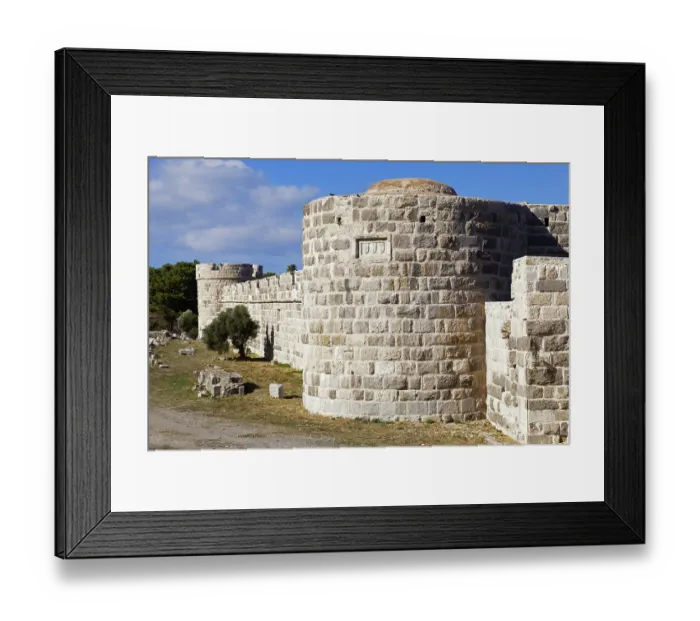 Framed Print : Inner fortification, olive tree Framed Print : Inner fortification, olive tree