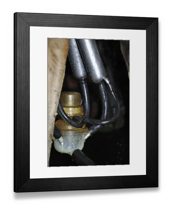 Framed Print : ibxwbk11357017 Framed Print : ibxwbk11357017