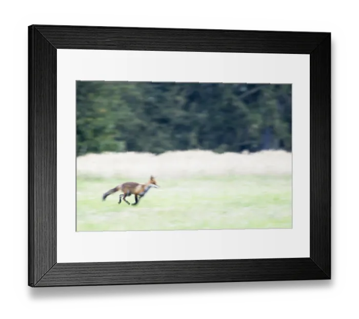 Framed Print : ibxwma05837861 Framed Print : ibxwma05837861