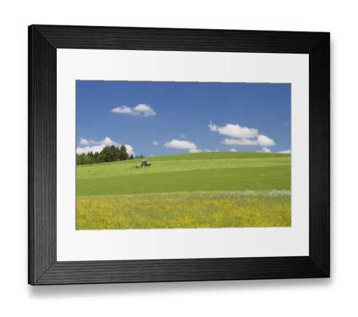 Framed Print : ibxmsi00017702.jpg Framed Print : ibxmsi00017702.jpg