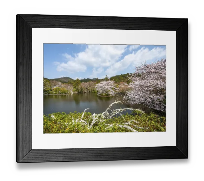 Framed Print : Kyoyochi pond in the Japanese garden