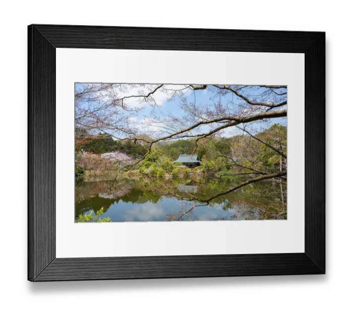 Framed Print : Temple building reflected in Kyoyochi pond in Japanese garden Framed Print : Temple building reflected in Kyoyochi pond in Japanese garden