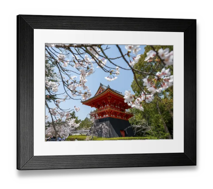 Framed Print : Cherry blossoms and red Shoro bell tower Framed Print : Cherry blossoms and red Shoro bell tower