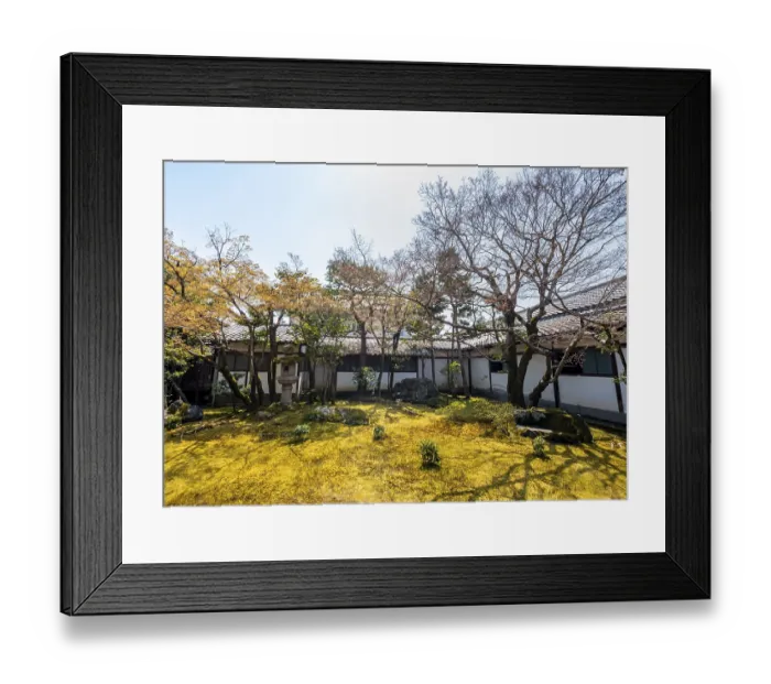 Framed Print : Small Japanese garden with moss