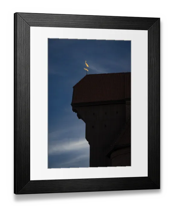 Framed Print : The old port crane, the historic gate to the port of Gdansk Framed Print : The old port crane, the historic gate to the port of Gdansk
