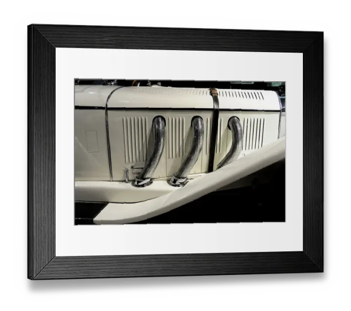 Framed Print : iblebo01913212