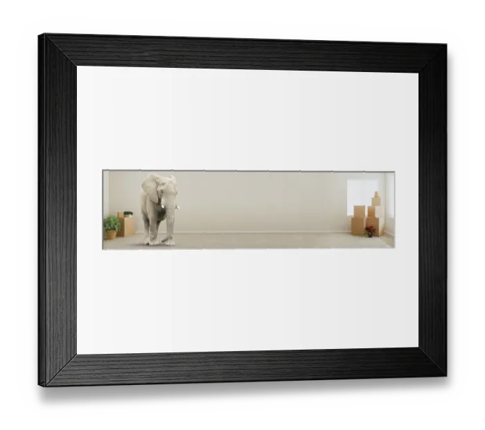 Framed Print : Adult Elephant Standing in Empty Room With Moving Boxes Framed Print : Adult Elephant Standing in Empty Room With Moving Boxes