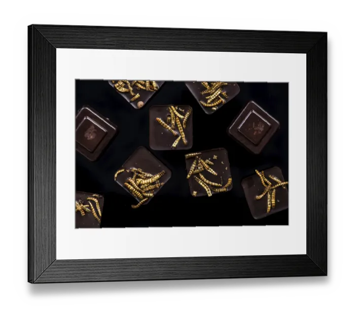 Framed Print : Chocolate with edible worms, culinary trends