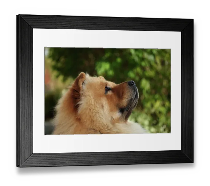 Framed Print : ibxsik01073304 Framed Print : ibxsik01073304