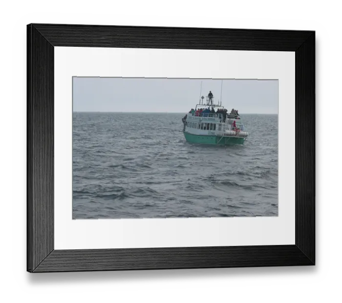 Framed Print : ibxstr00014214