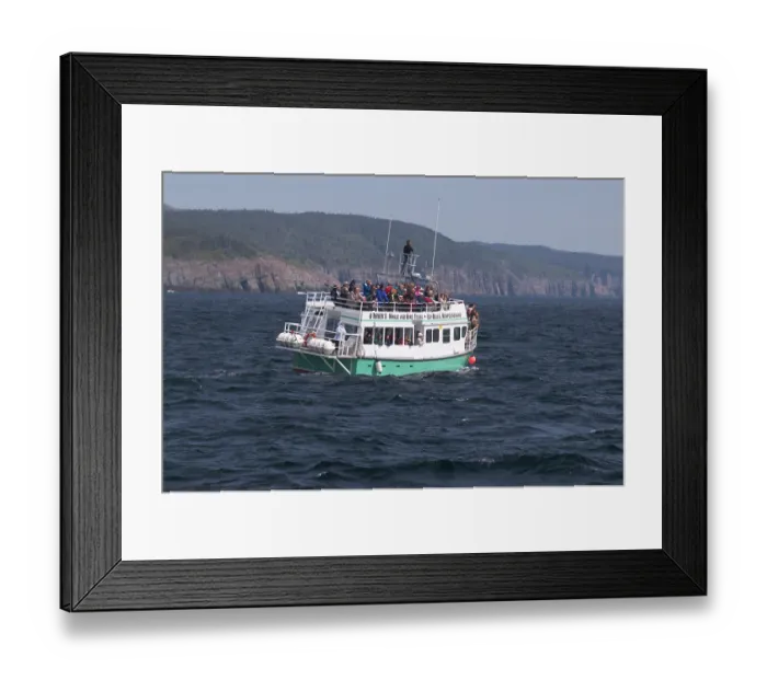 Framed Print : ibxstr00014215