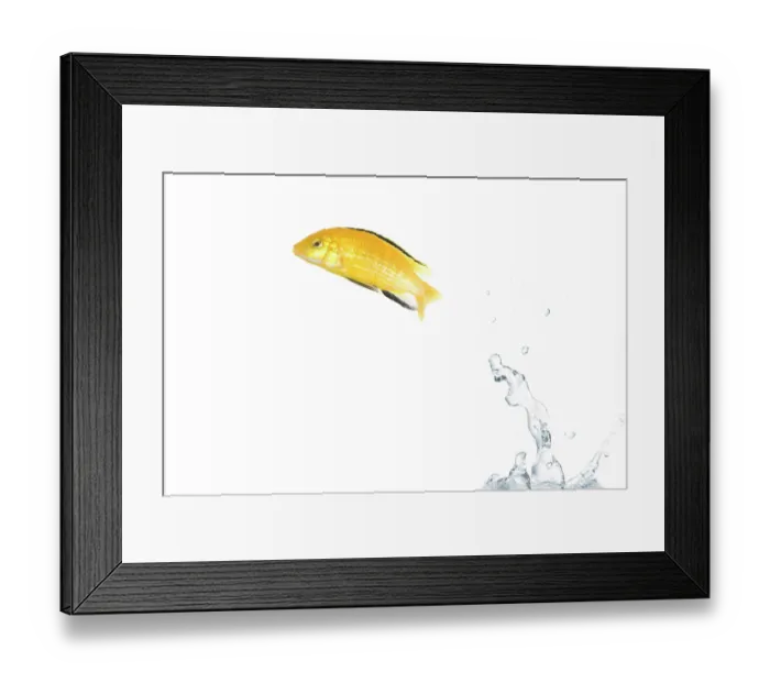 Framed Print : ibxtlf00787736 Framed Print : ibxtlf00787736
