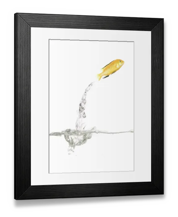 Framed Print : ibxtlf00787739