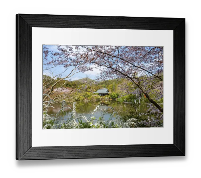 Framed Print : Kyoyochi pond in the Japanese garden