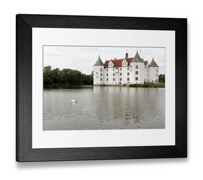 Framed Print : Hocker swan (Cygnus olor) in front of Glucksburg Castle