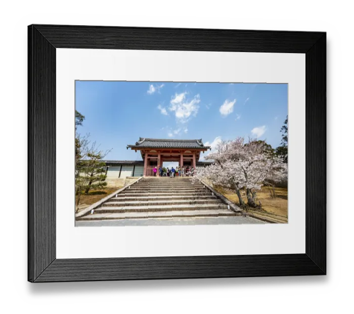 Framed Print : Path with blossoming cherry tree Framed Print : Path with blossoming cherry tree