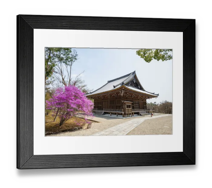 Framed Print : Kannondo of Ninna-ji Temple, purple blooming bush in spring