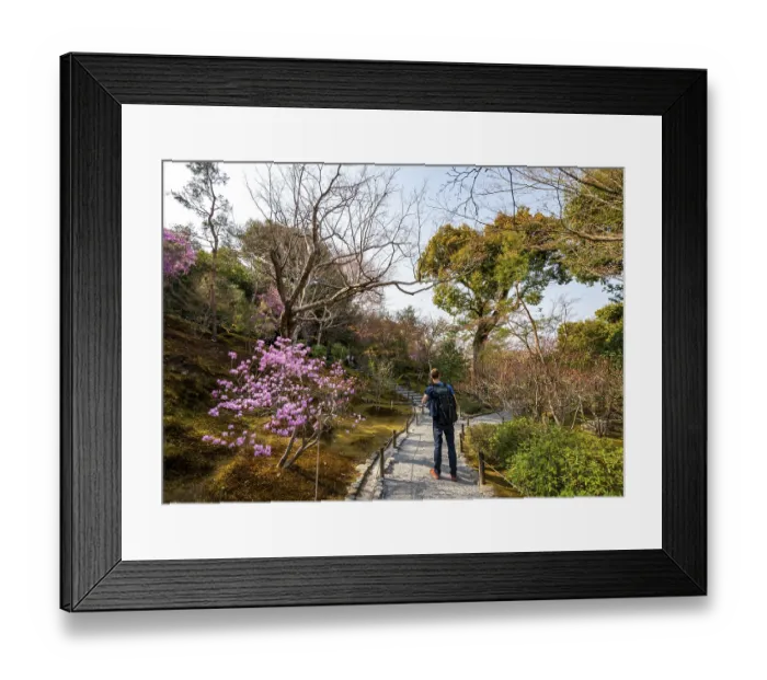 Framed Print : Tourist walking among blooming bushes in Sogenchi Teien Japanese Garden