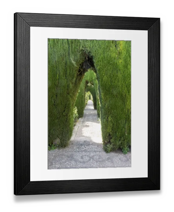 Framed Print : An arch at the Alhambra gardens in Granada Framed Print : An arch at the Alhambra gardens in Granada