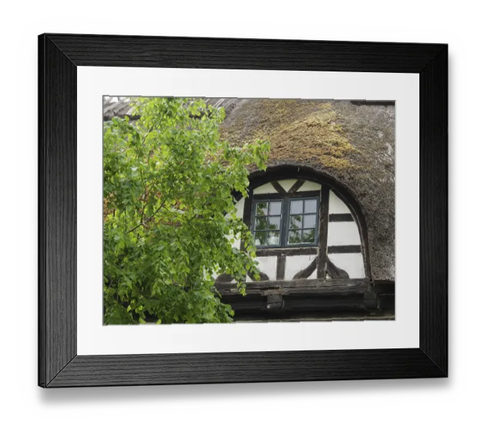 Framed Print : A traditional half-timbered house with a moss-covered roof and a blooming tree in front of it Framed Print : A traditional half-timbered house with a moss-covered roof and a blooming tree in front of it
