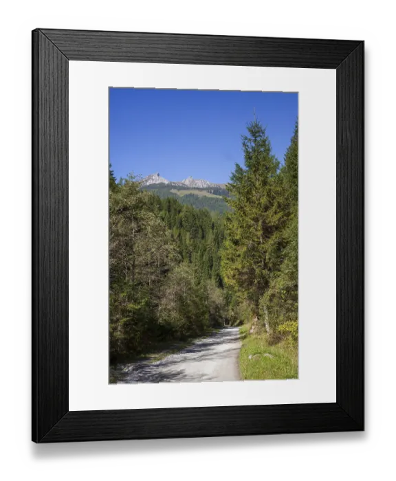 Framed Print : Hiking trail with mountains and forest in autumn Framed Print : Hiking trail with mountains and forest in autumn