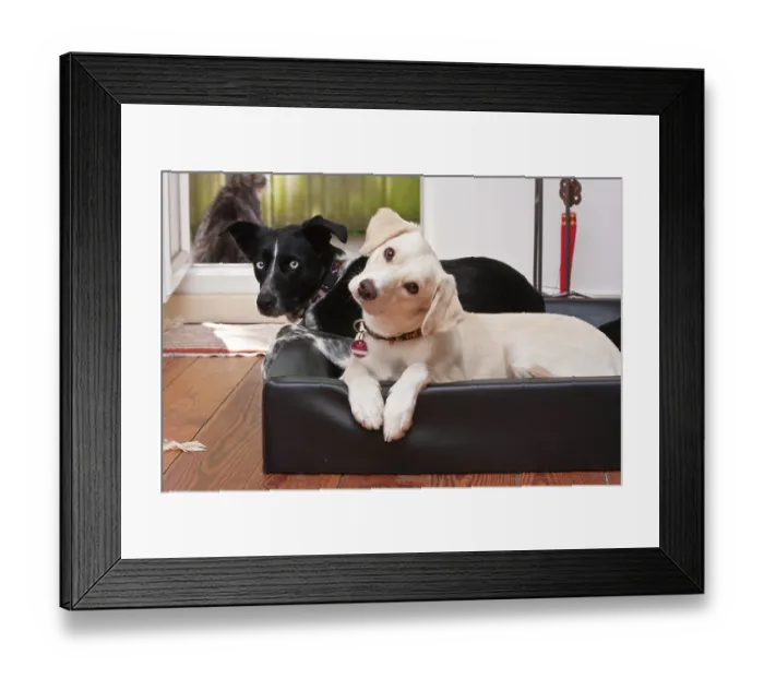Framed Print : iblvmi01456753