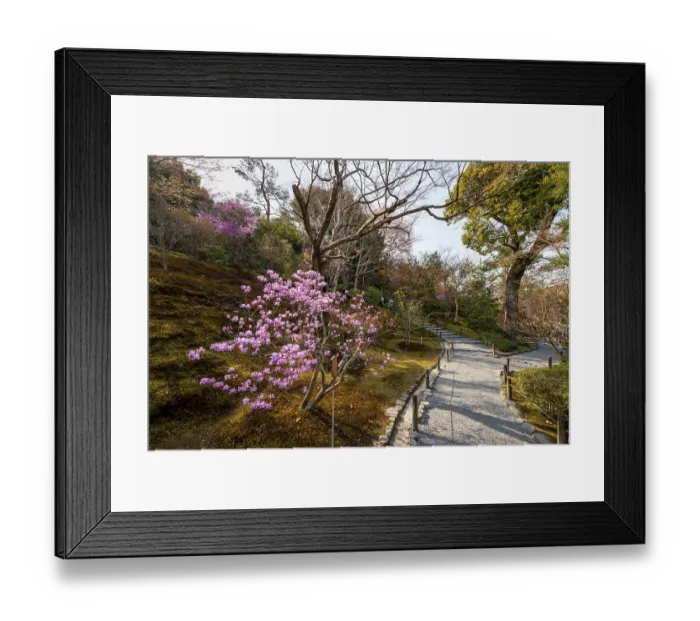 Framed Print : Blooming bushes in Sogenchi Teien Japanese Garden