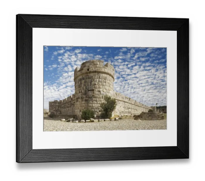 Framed Print : Inner fortification, olive tree Framed Print : Inner fortification, olive tree