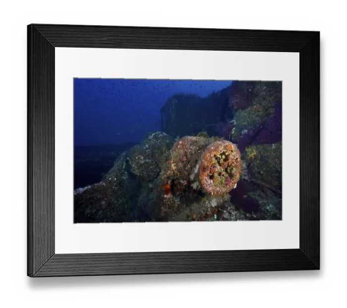 Framed Print : A colorful wreck in the depths of the sea with vivid corals Framed Print : A colorful wreck in the depths of the sea with vivid corals