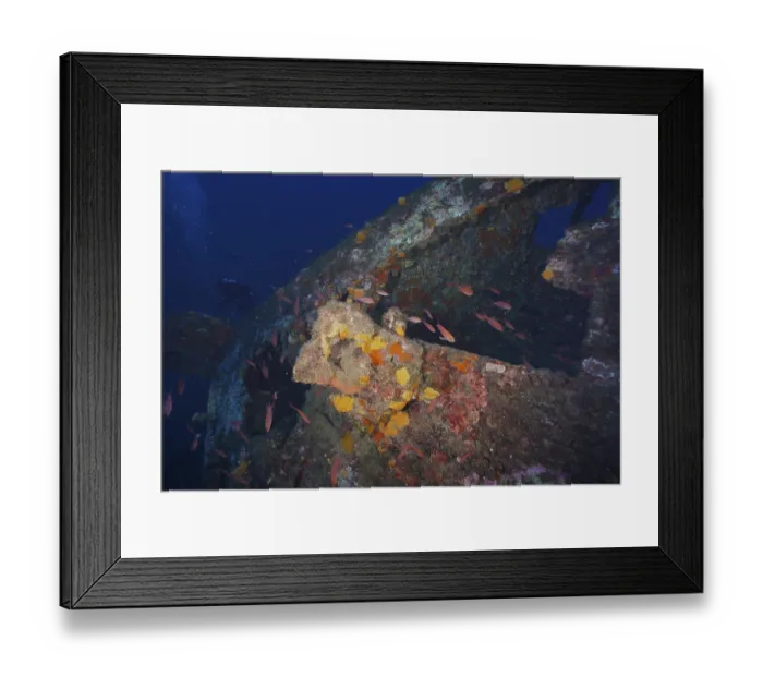 Framed Print : Colourful sea sponges and fish