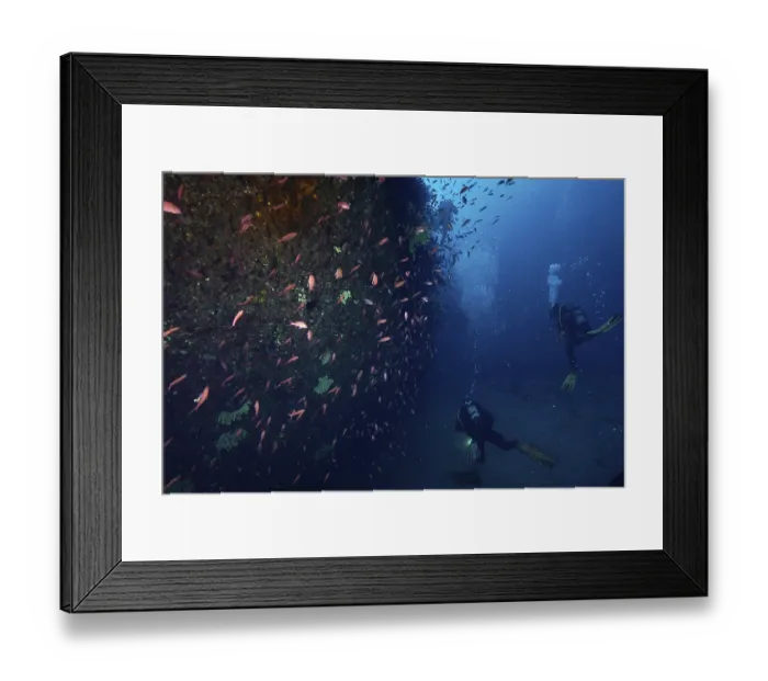 Framed Print : Two divers explore the bottom of a wreck with fish
