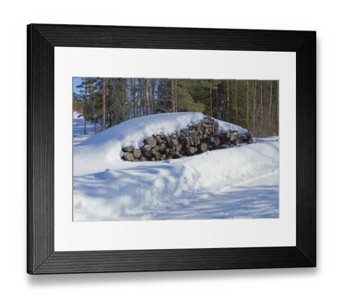 Framed Print : Pile of logs in forest in winter with snow covering the ground