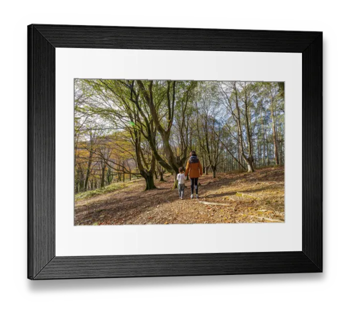 Framed Print : Mother and son enjoying a peaceful walk together through a mixed autumn forest