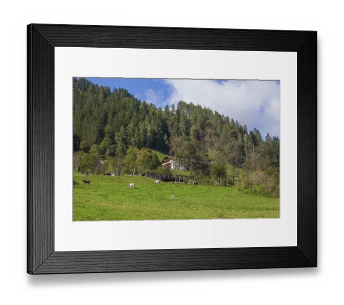 Framed Print : Alm with cows, farmhouse and forest