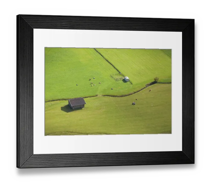Framed Print : Alm with hay barn and cows, Neustift im Stubai Valley