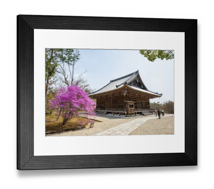 Framed Print : Kannondo of Ninna-ji Temple, purple blooming bush in spring