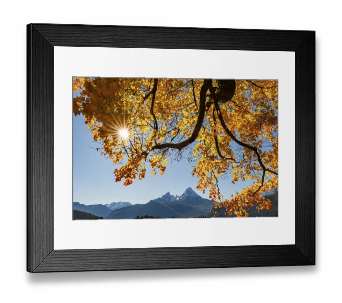 Framed Print : Watzmann under an autumn-colored tree