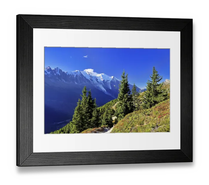Framed Print : Mountain forest in an autumnal landscape with the snow-covered Mont Blanc massif in the background