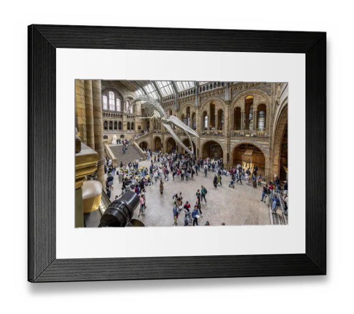 Framed Print : London, United Kingdom - 15 May 2025 Framed Print : London, United Kingdom - 15 May 2025