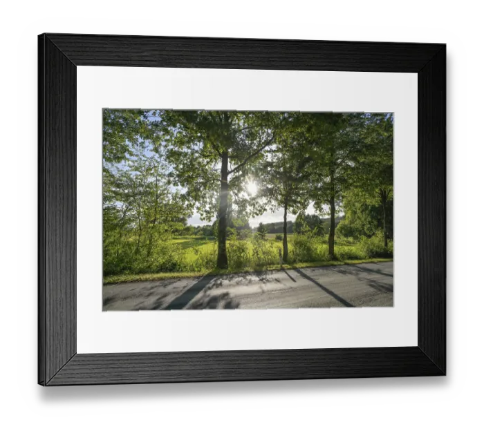 Framed Print : Allee im Nordlippischen Bergland bei Vlotho