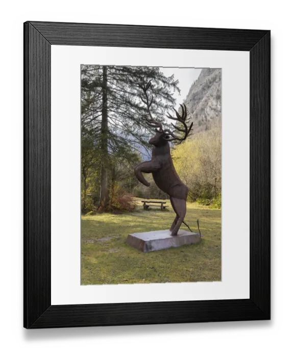 Framed Print : The fighting deer, art, metal, Bluntau Valley Framed Print : The fighting deer, art, metal, Bluntau Valley