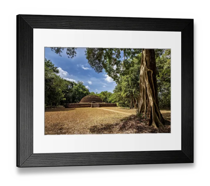 Framed Print : An old stupa between tall trees with a clear sky and shady areas Framed Print : An old stupa between tall trees with a clear sky and shady areas