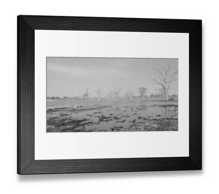 Framed Print : Botswana: The Okavango Delta flooded