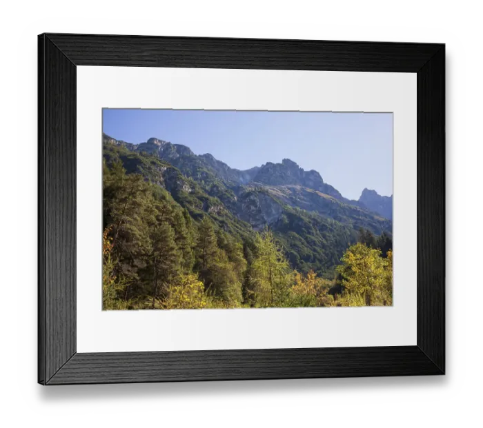 Framed Print : Kirchdachspitze mountain and forest in autumn