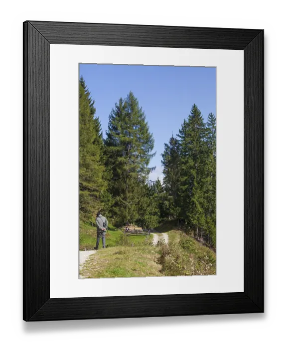 Framed Print : Hiking trail with forest and trees in autumn