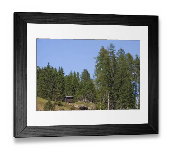 Framed Print : Alm with forest, hay barn and trees in autumn