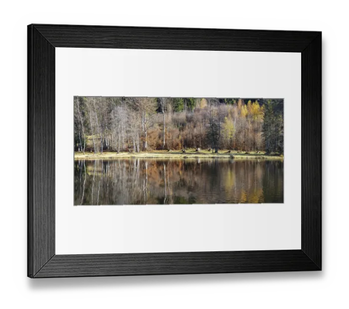 Framed Print : Late autumn, water reflection in moor pond Framed Print : Late autumn, water reflection in moor pond