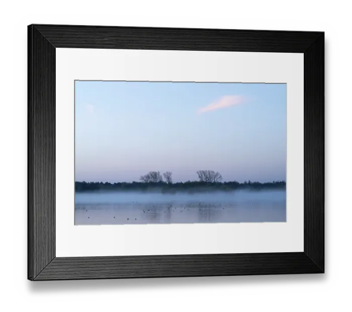 Framed Print : Lake and birds on water in front of sunrise